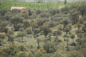 parcelas y terrenos en venta urbanizacion atalaya del alberche (11).jpg