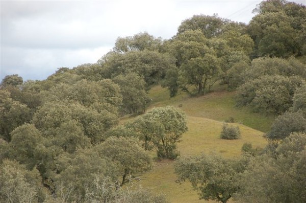 Parcela con pendiente y vistas de la sierra de San Vicente